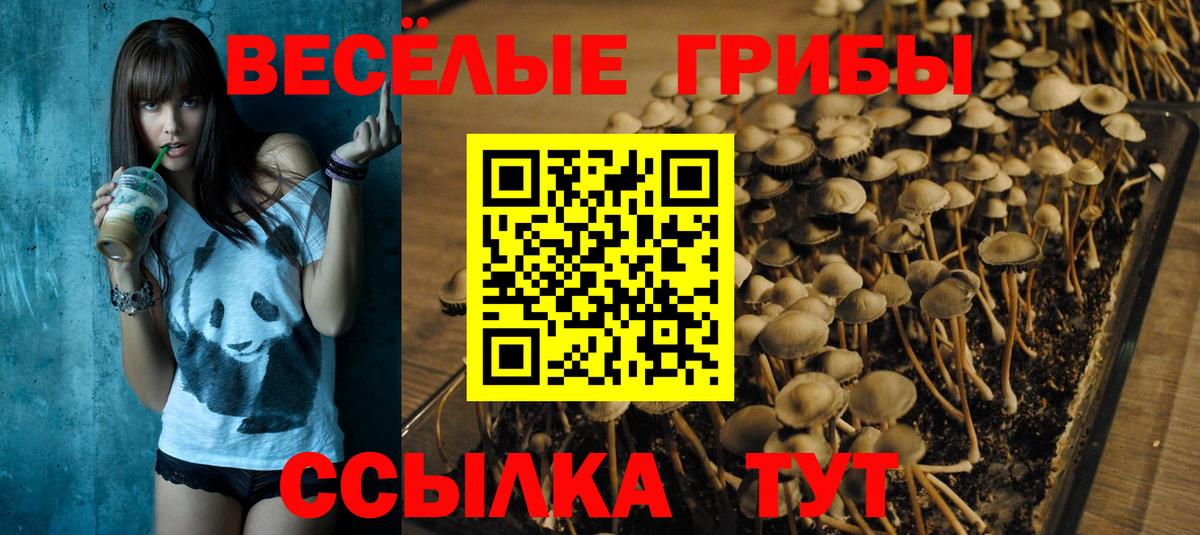 Галлюциногенные грибы Cubensis  Галлюциногенные грибы мухоморы  Вход с VPN  Бузулук 